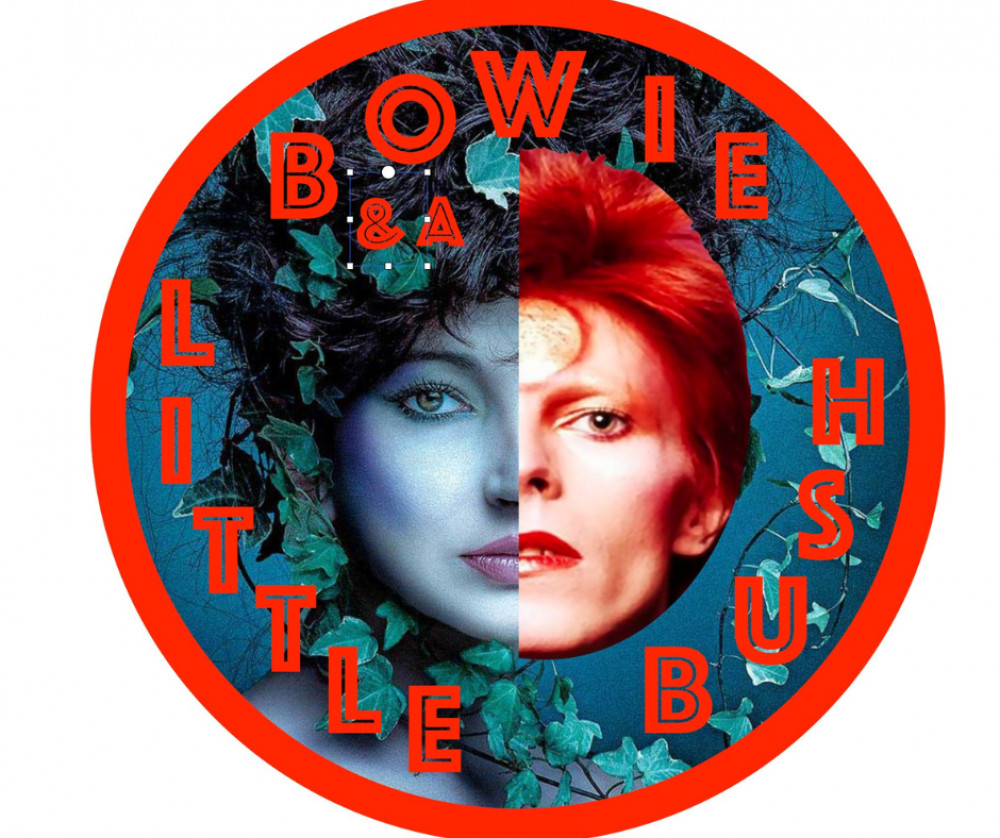 Bowie and a Little Bush are heading to Glastonbury this weekend. (Photo B&ALB) 