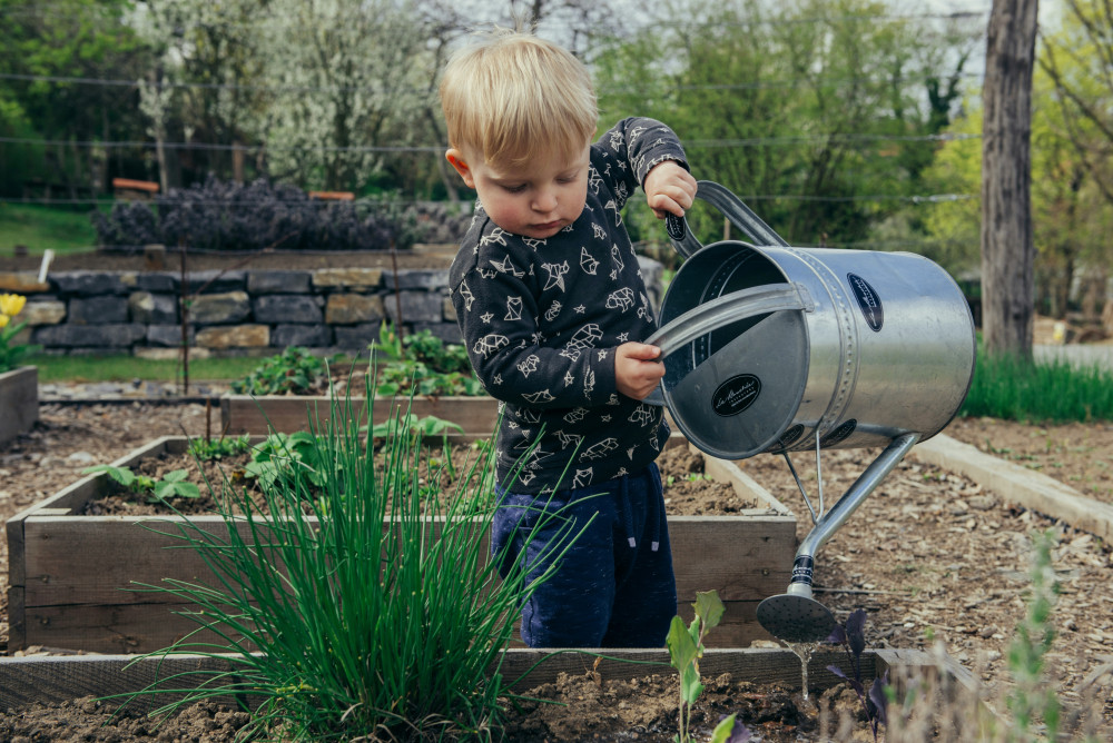 With the sun returning for most at the weekend after the latest excessive downpour, it’s a good time to get our gardens looking less bedraggled (Unsplash) 