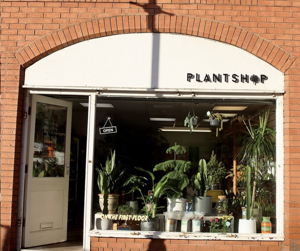 We visited Plant Shop Manchester at 8 Mealhouse Brow, a little green hidden gem in Stockport's old town (Image - Plant Shop Manchester)