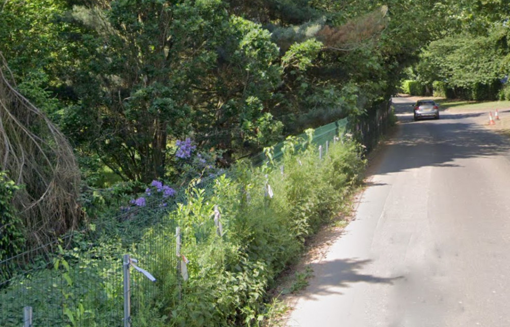 The fence runs around a patch of land on Crewe Lane (image via Google Maps)