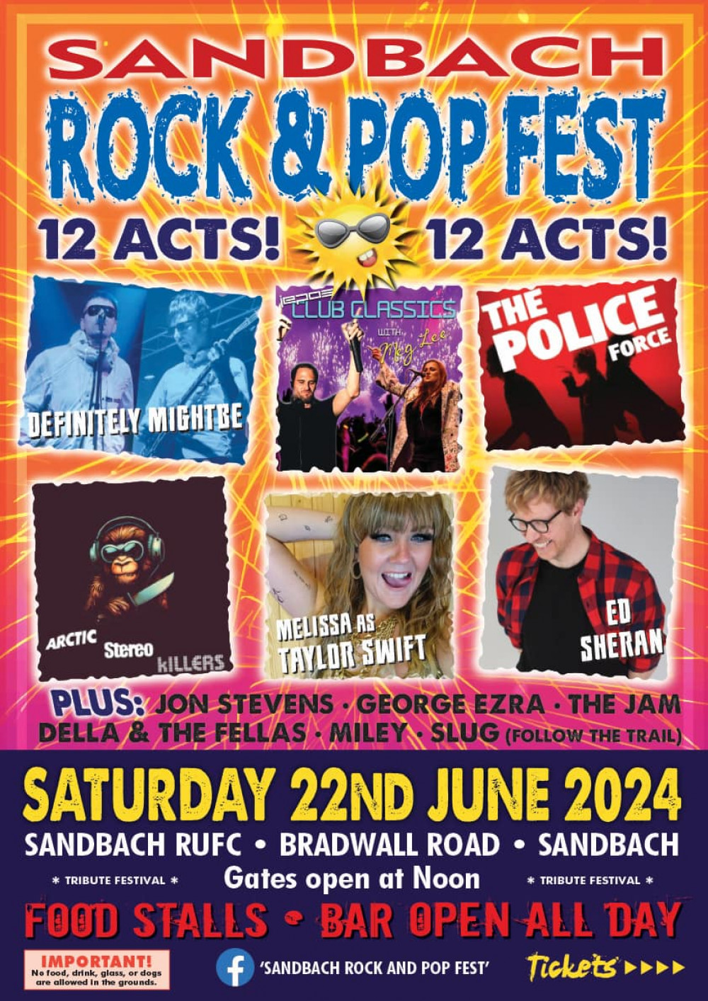 Twelve acts will be appearing at this weekend's rock and pop festival. (Image: Sandbach Rock and Pop Festival) 