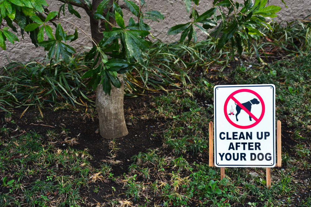 How the signs might appear to dog owners in Ashby. Photo: Rattanachai Mokngam | Dreamstime.com