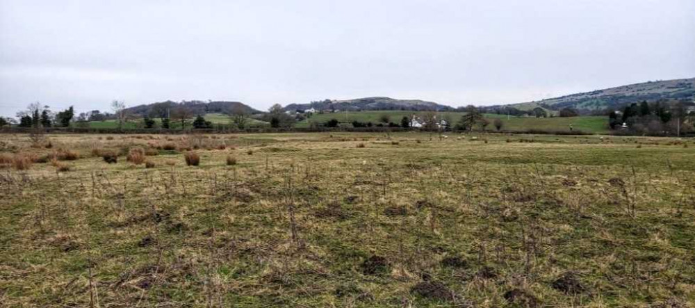 Happy Healthy Hub Ltd wanted permission to set up 74 pitches on the site in Bosley, bordered by the A54 and A523 Leek Road (Google).