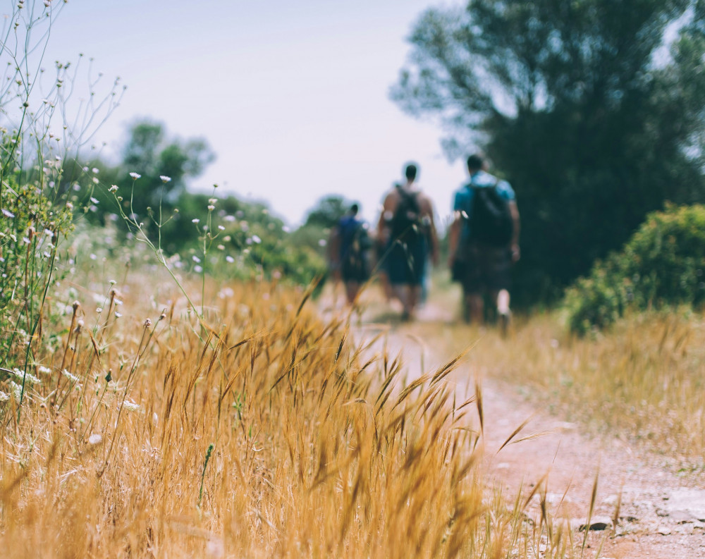 West Mendip Walkers August walk programme