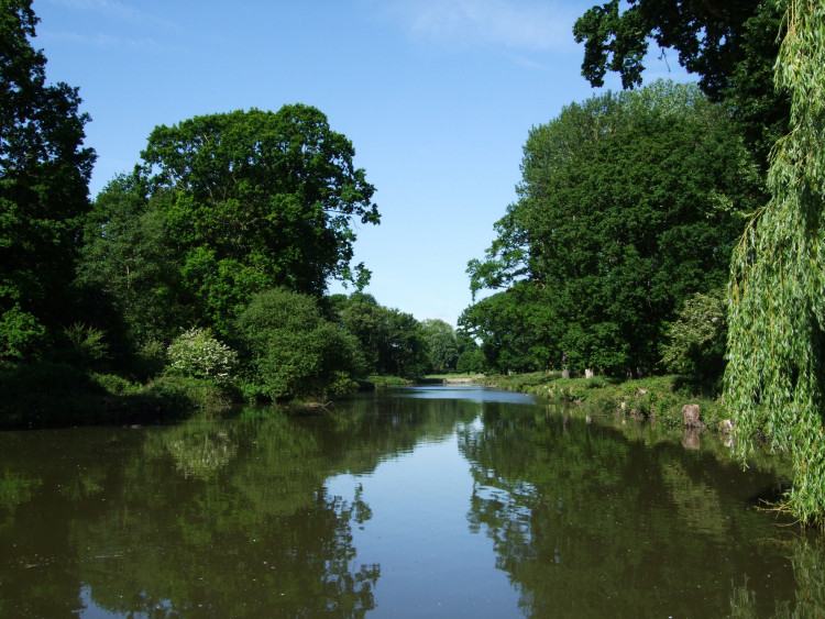 Friends of Bushy and Home Parks want artist to capture their favourite parts of Bushy or Home park for a cash prize (credit: Jim Linwood/Flickr).