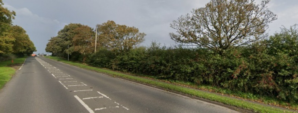 The road and surrounding streets had been plastered with signs opposing the campsite. 