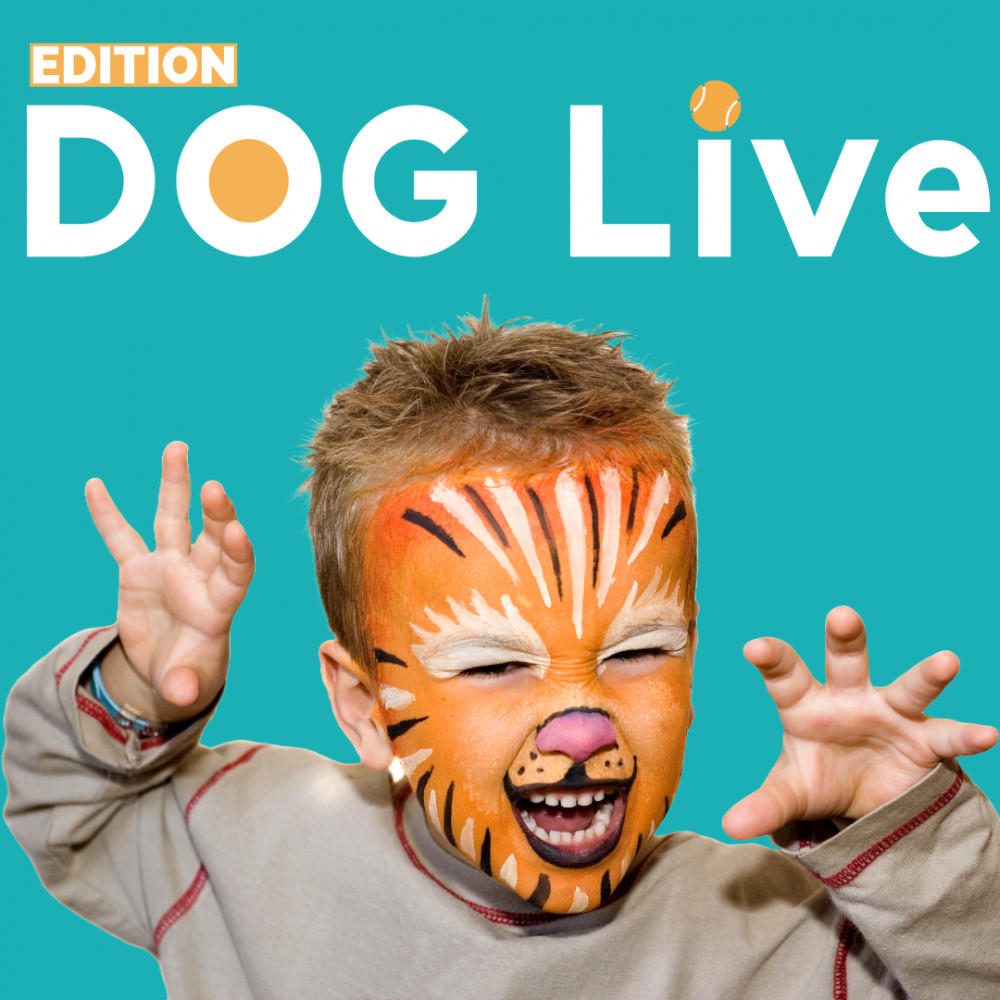 Edition Dog Live is coming to the NAEC Stoneleigh this August (image via Edition Dog)