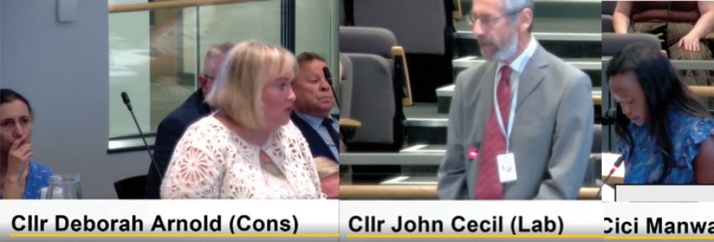 Opinions vary: From left, Cllrs Rigby, Arnold, Cecil and Manwa.