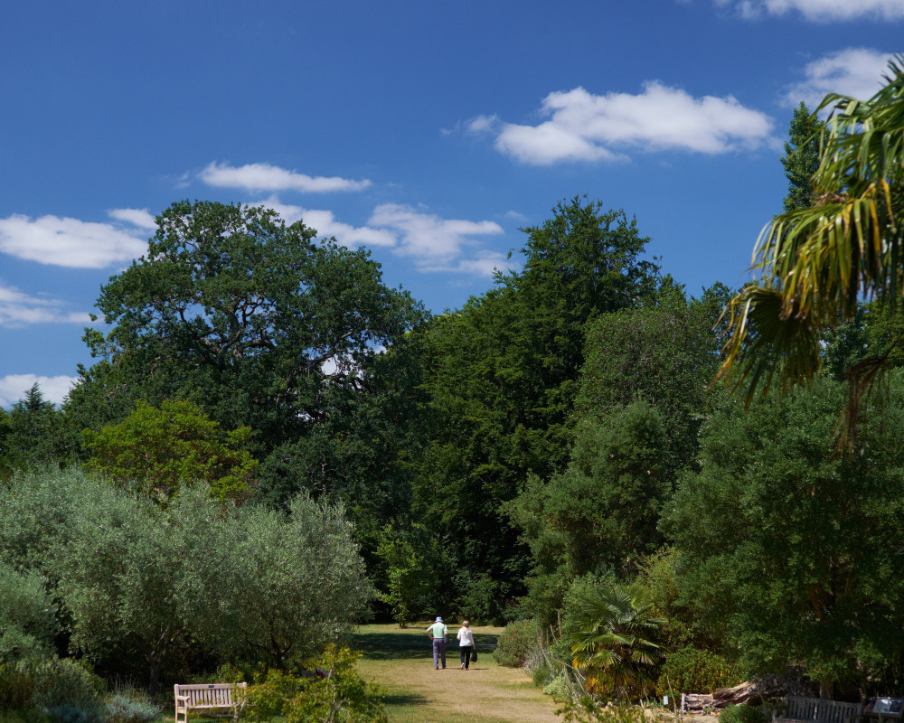 100,000 £1 tickets have now been sold to visit Kew Gardens (credit: Oliver Monk).