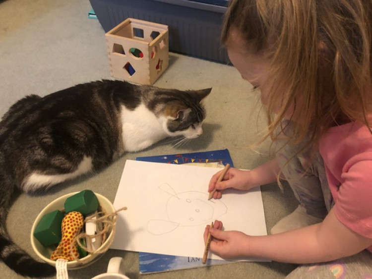 Known as the town’s unofficial station cat, the one-eyed Archie was known for his adventures, seen here with the granddaughter of his owner, Alex Sumner. (Photo: Alex Sumner)