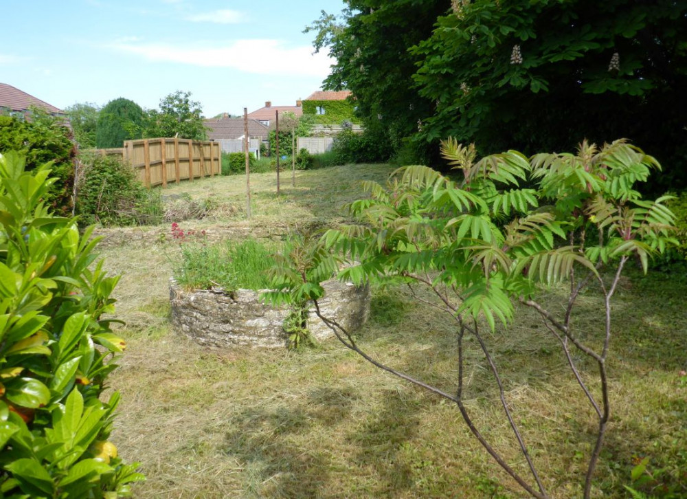 The land is being auctioned on Thursday 29 August (image via RightMove)