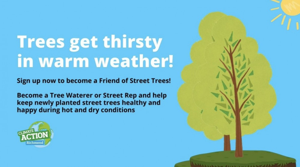 Help keep the trees in Teddington healthy Credit: Richmond Council)