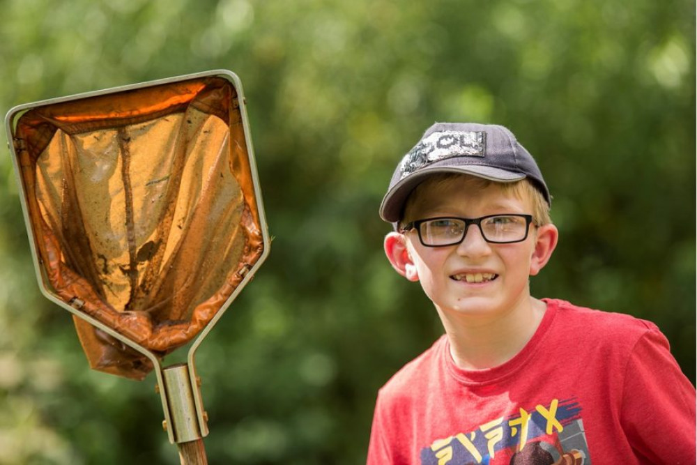 There's pond-dipping at Ham Wall this weekend (Photo: RSPB) 