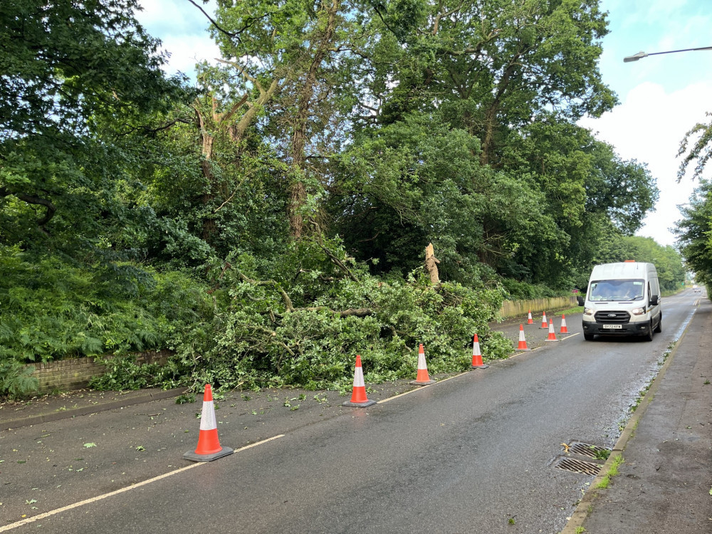 The Met Office has warned there could be damage to trees today (image Cllr David Bailey)