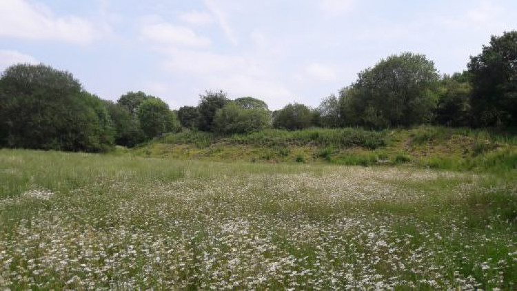 Hassall Green Nature Reserve is throwing open its doors for an open day. (Photo: Land Trust)