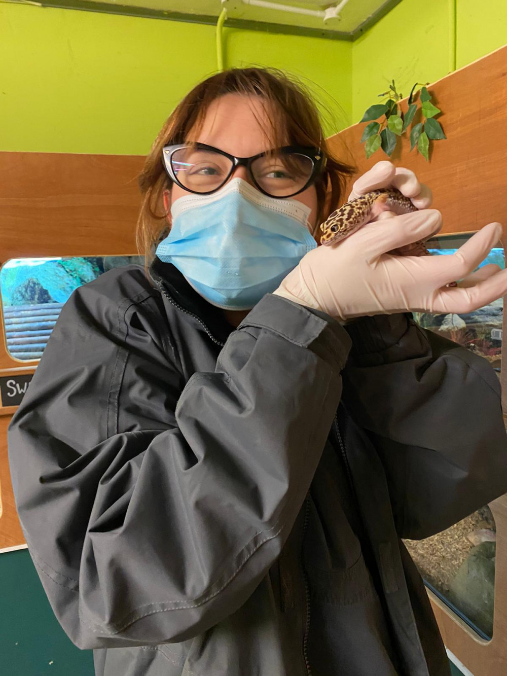 Ophthalmology diplomate Ines Marino Freitas, who has joined Davies Veterinary Specialists, with one of her favourite patients, a leopard gecko.  