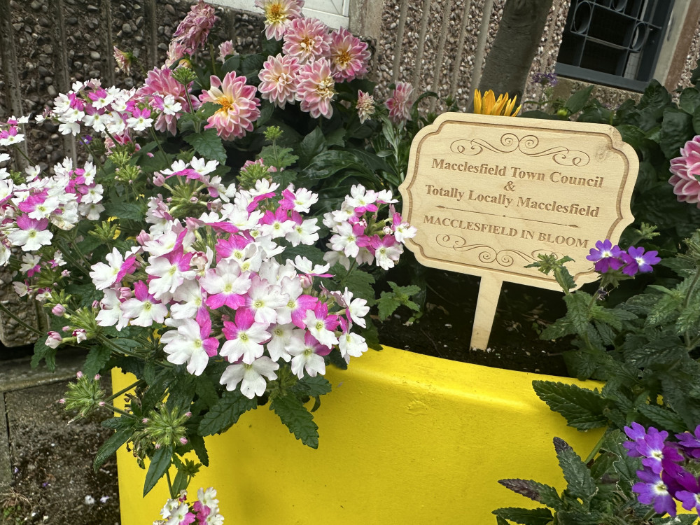 A floral display in Macclesfield. (Image - Macclesfield Nub News)