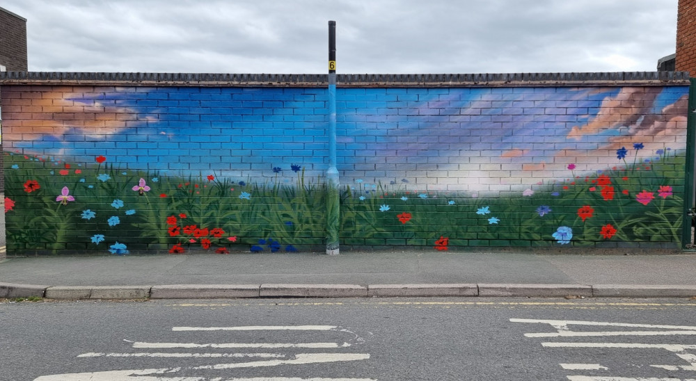 The mural was unveiled on Station Road last month (Image via Brink Contemporary Arts)