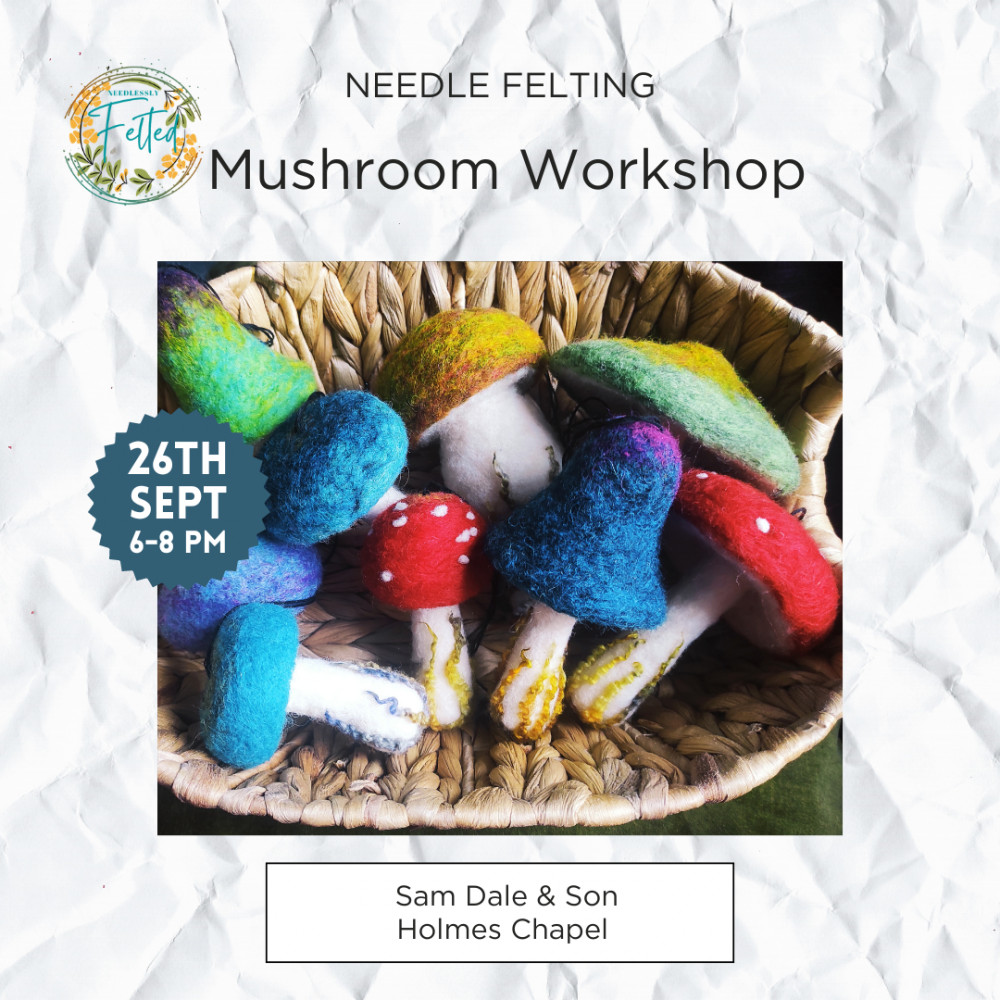 Needle Felted Mushroom/Toadstool Workshop