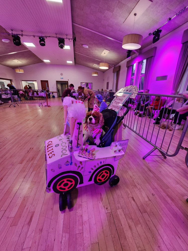 A newly launched dog show at Alsager Civic was a huge success. (Photo: Alsager Civic)  