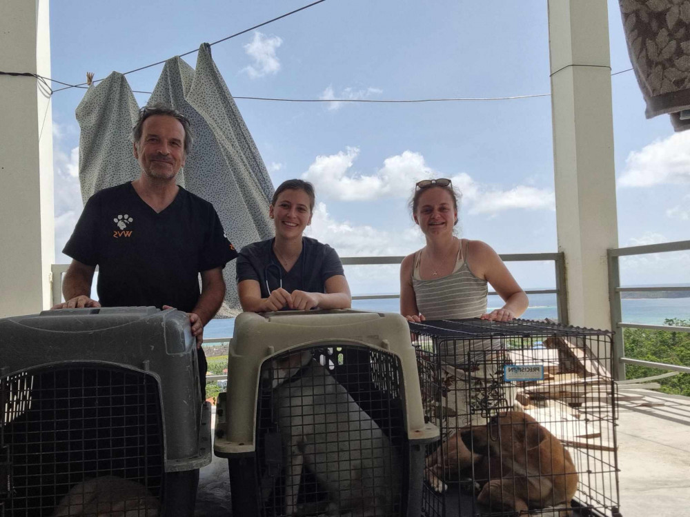 Alsager vet Amy Dronfield (far right) flew out to the Caribbean to help animals in a hurricane. (Photo: Amy Dronfield)