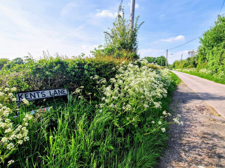 Cheshire East is to sell off land it owns in Crewe, so it can be used for seven Gypsy and Traveller pitches (Ryan Parker).