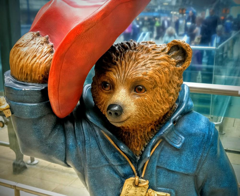 Paddington Bear is heading for Ashby next month. Photo: Dreamstime.com