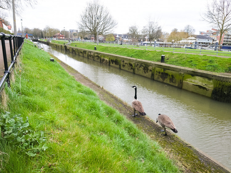 People have been worried about how Thames Water's Direct River Abstraction project would affect the River Thames (Credit: Oliver Monk)