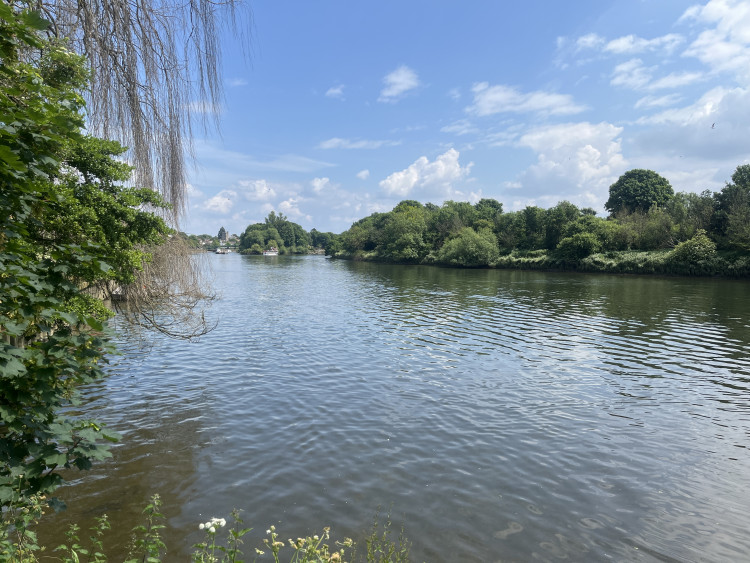 People have been worried about how Thames Water's Direct River Abstraction project would affect the River Thames (credit: Cesar Medina).