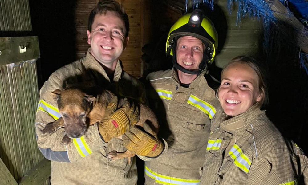 Belle was rescued by firefighters