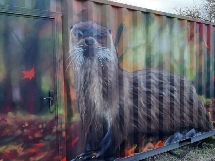 Otter on Graffwerk