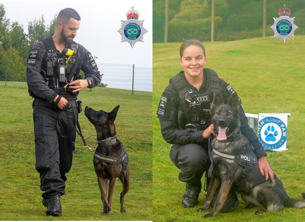 The service dogs have had a ruff time on duty. (Image - Staffordshire Police) 