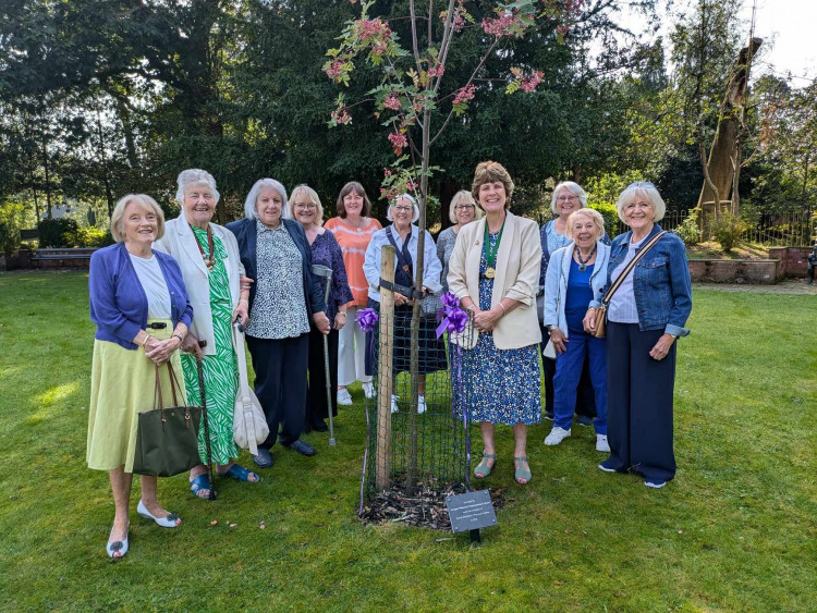 Members of Alsager Pikemere Townswomen’s Guild gathered today to honour the planting of the tree in front of Milton Park. (Photo: Nub News) 