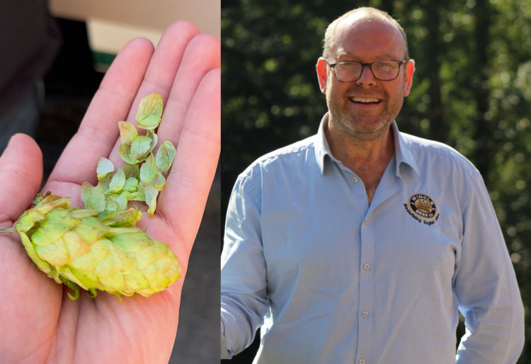 Giles Meadows (right) of Wincle Brewery, and the green hops (left) used in Bengal Buttress. (Image - Macclesfield Nub News)