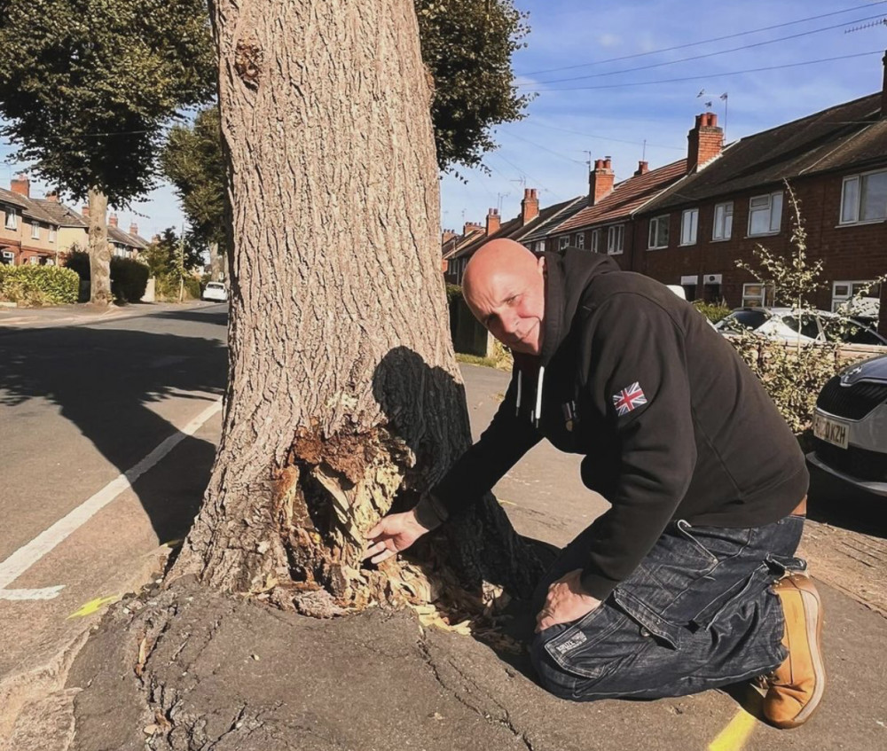 Cllr Richard Spencer will pay for the tree to be replaced (image via Cllr Spencer / Instagram)