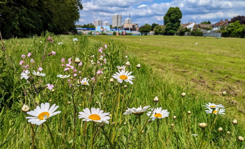 Surbiton Community cafe is now operating five days a week at Kingston Recreational Ground in Norbiton (Credit: Suzanne Seyghal Buckingham)