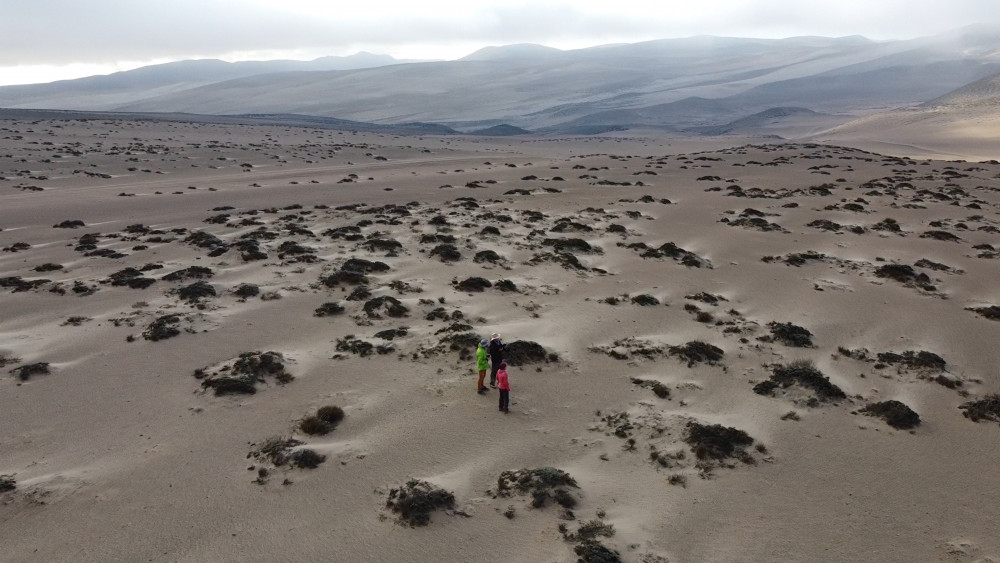 Scientists from Kew have worked with paramotorists to reach delicate and inaccessible desert ecosystems for urgent conservation (credit: Justin Moat/RBG Kew).