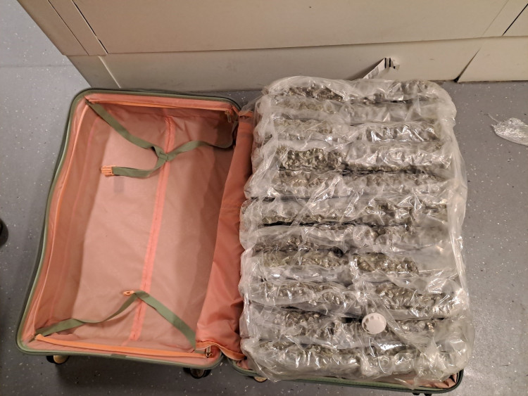 A suitcase filled with cannabis which Border Force officers stopped from being smuggled into the UK via Heathrow Airport (credit: NCA).