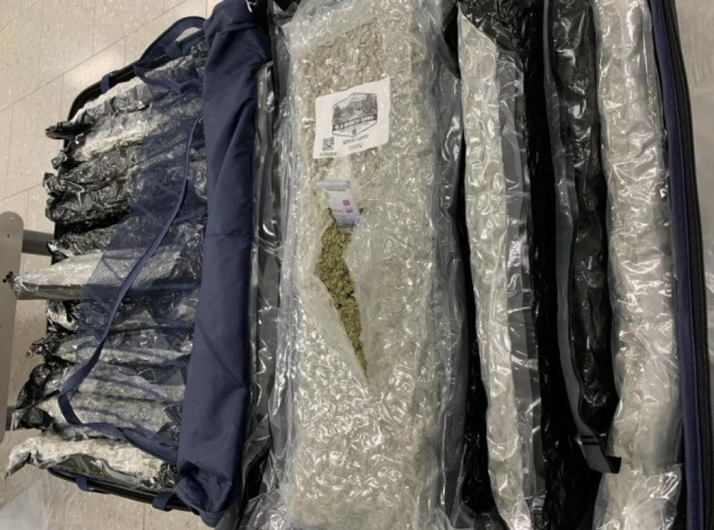 A suitcase filled with cannabis which Border Force officers stopped from being smuggled into the UK via Heathrow Airport (credit: NCA).