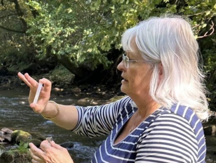 Alison Weston tests the waters. (Image - DVCAG)