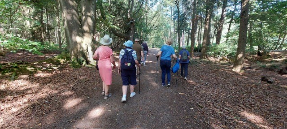 The Nature Group enjoyed their stroll on Danbury Ridge. 