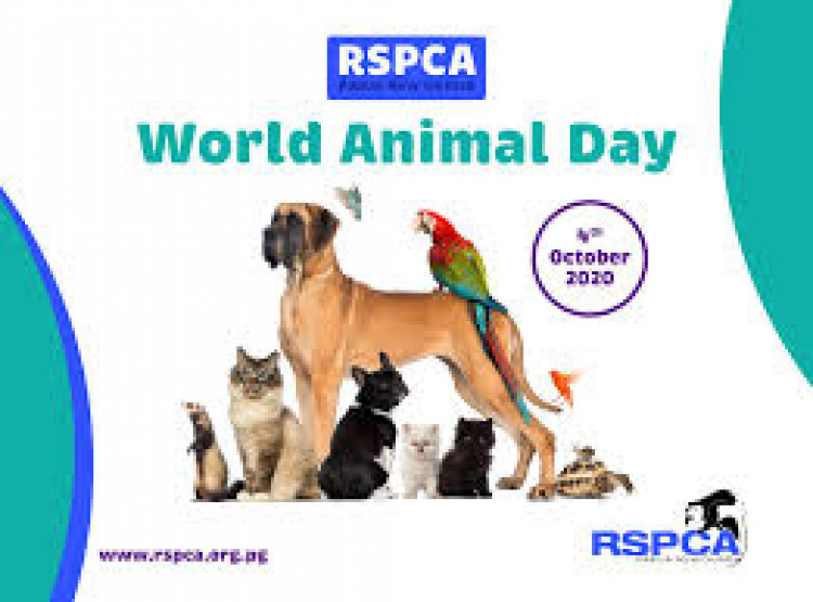 This World Animal Day (4 October), the RSPCA is highlighting the "chilling" future which could lie ahead for animal welfare if people don't act now (Credit: RSPCA)