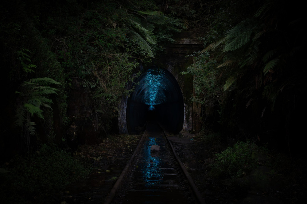 Supplied: Keith Horton, Australia 'Glowworm tunnel' 