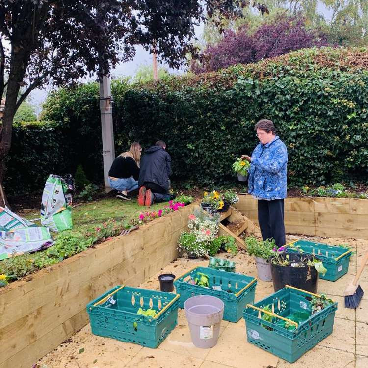 Gardening work in progress