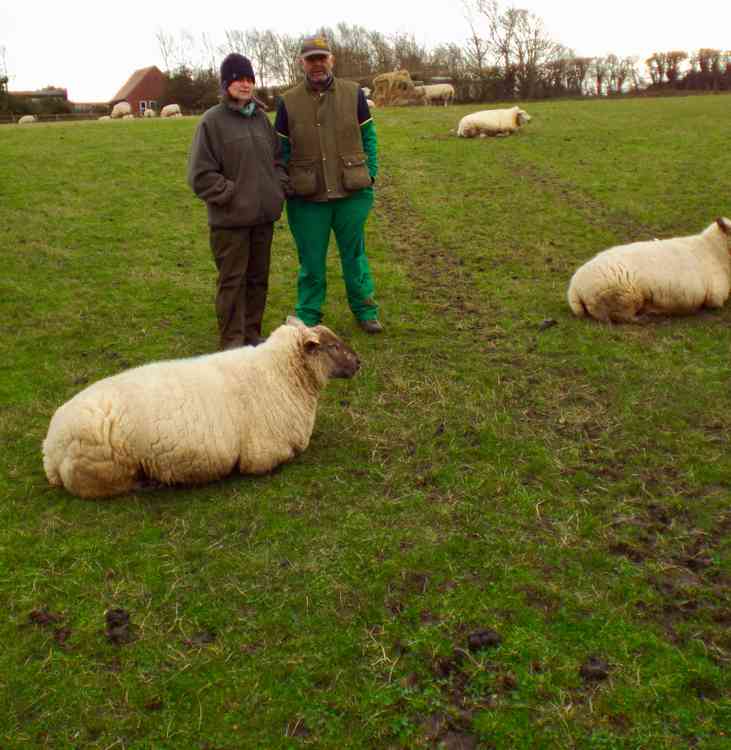 Phil Colwill and Sandra Hawkins with their beloved sheep