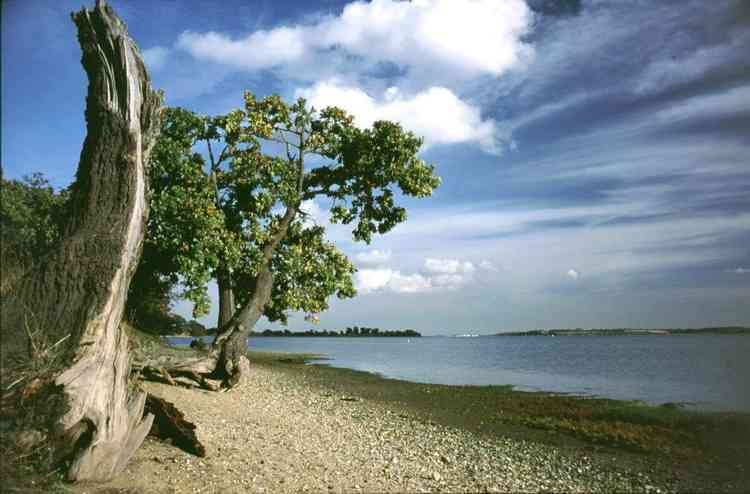 A large swathe of the beautiful Shotley peninsula is within the AONB