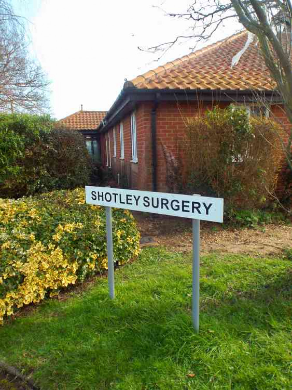 Shotley surgery