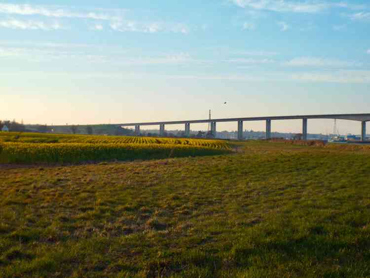 Its all yellow near the bridge