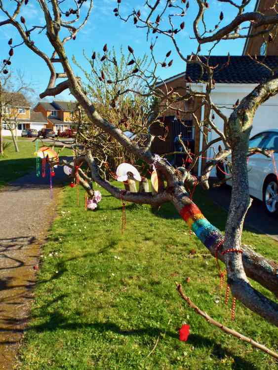 Putting a smile on passers-by with this rainbow tree