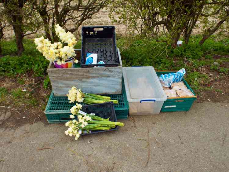 Bread and flowers in the lay-by - donations welcome